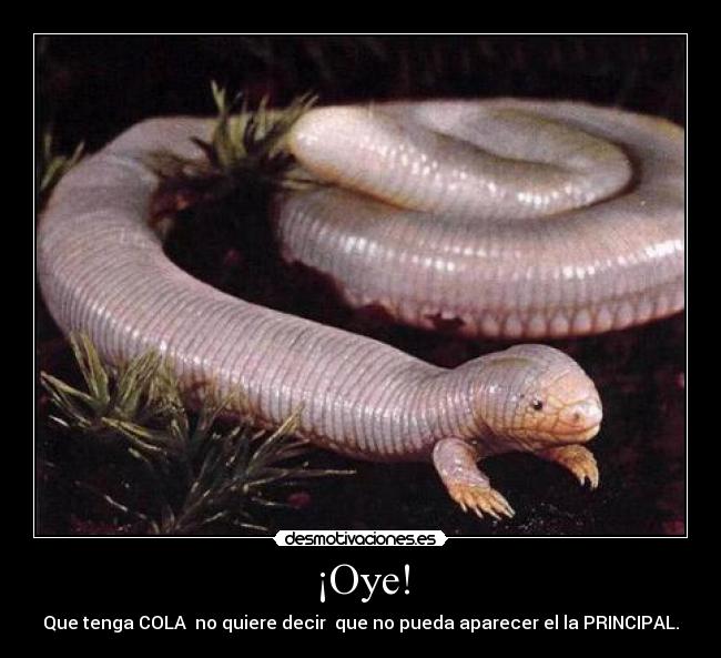 ¡Oye! -