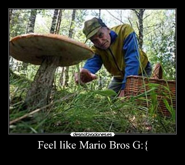 Feel like Mario Bros G:{ -