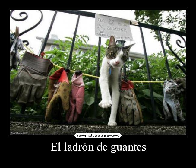 El ladrón de guantes -