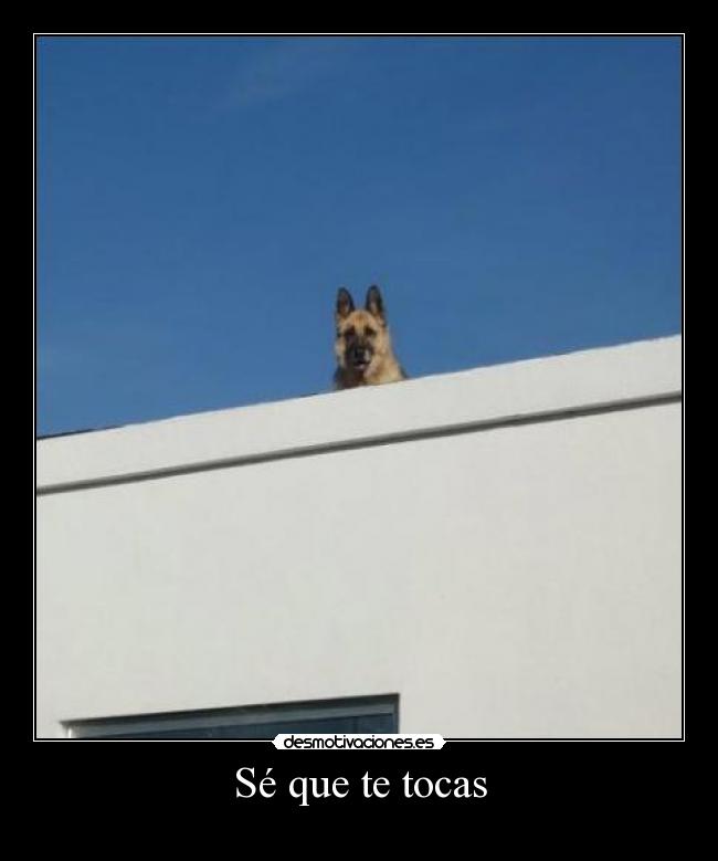 Sé que te tocas - 