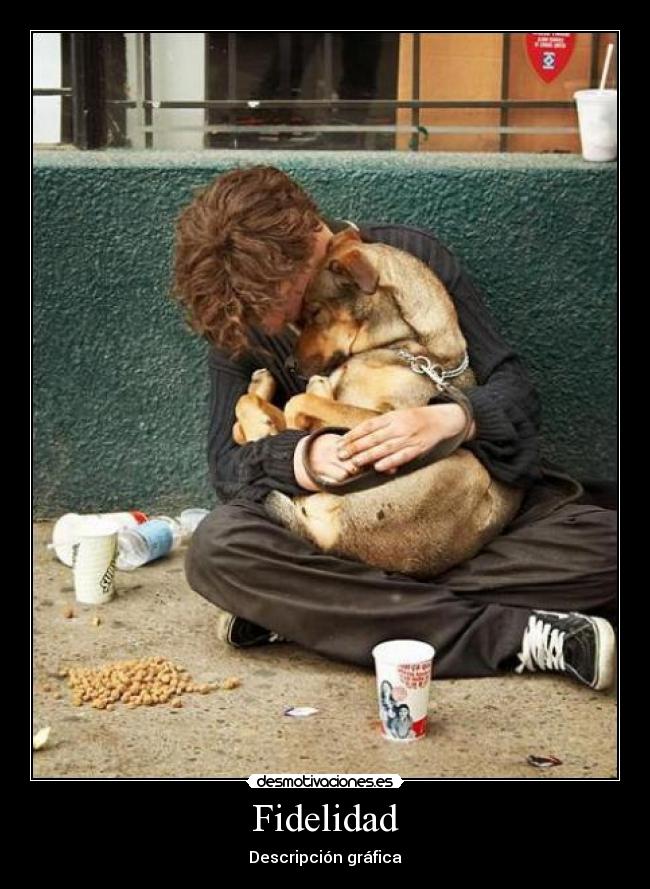 Fidelidad -
