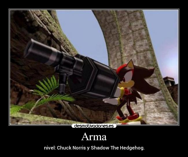 Arma - nivel: Chuck Norris y Shadow The Hedgehog.