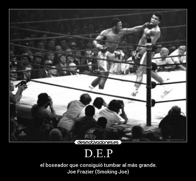 carteles desmotivaciones