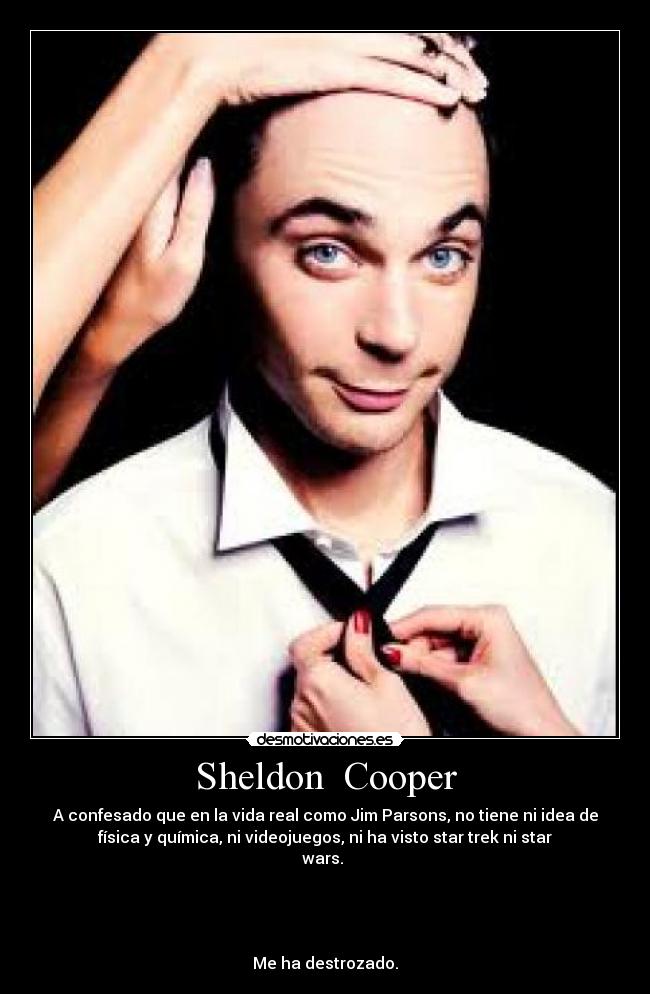 carteles sheldoncooper jimparsons desmotivaciones
