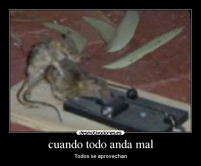 carteles mala onda desmotivaciones