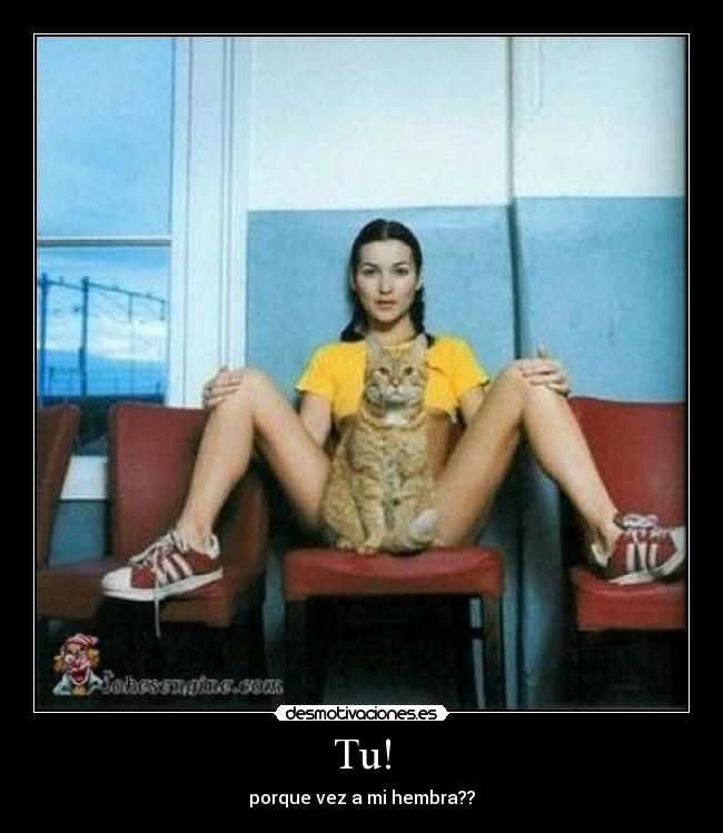 Tu! - porque vez a mi hembra??