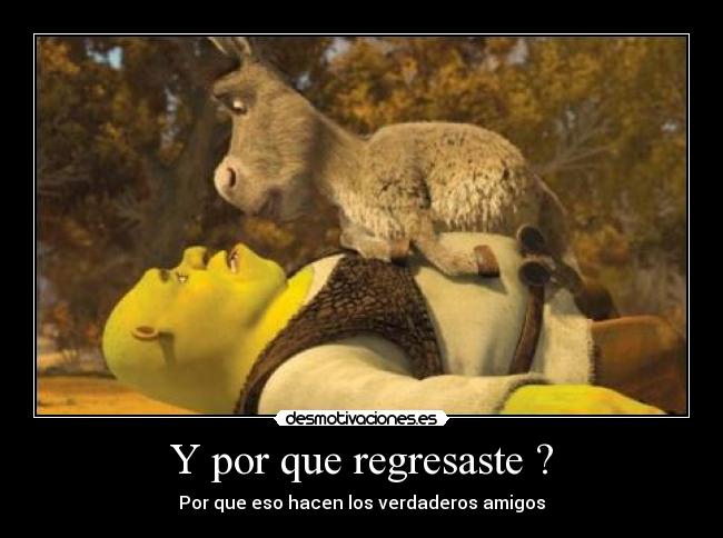 Y por que regresaste ? - 