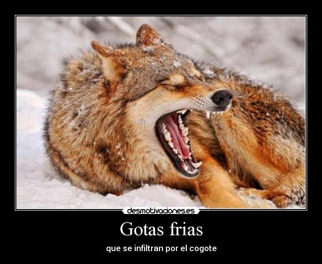 Gotas frias - que se infiltran por el cogote