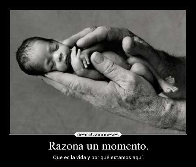 carteles vida desmotivaciones