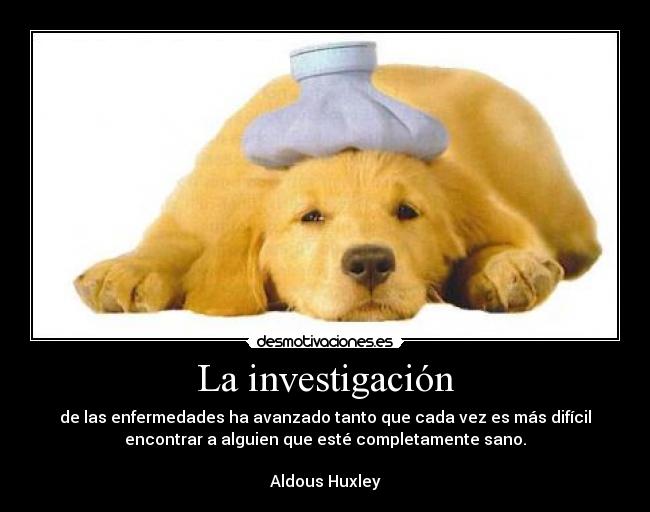 carteles investigacion las enfermedades desmotivaciones