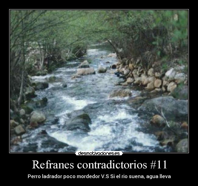 Refranes contradictorios #11 - Perro ladrador poco mordedor V.S Si el rio suena, agua lleva