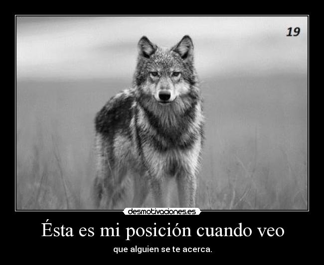 carteles veo que van hablar saco los dientes grrrrrrrrrr amo bonita desmotivaciones