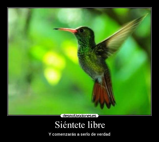 Siéntete libre - Y comenzarás a serlo de verdad