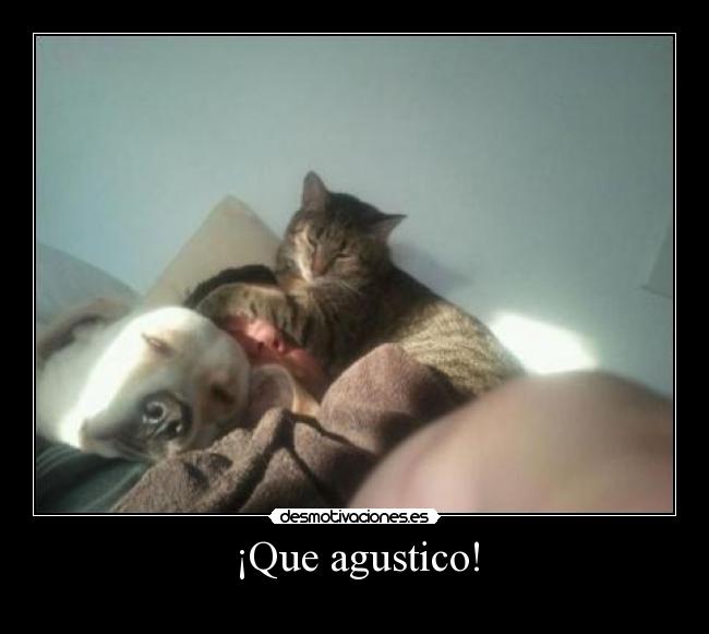 ¡Que agustico! - 