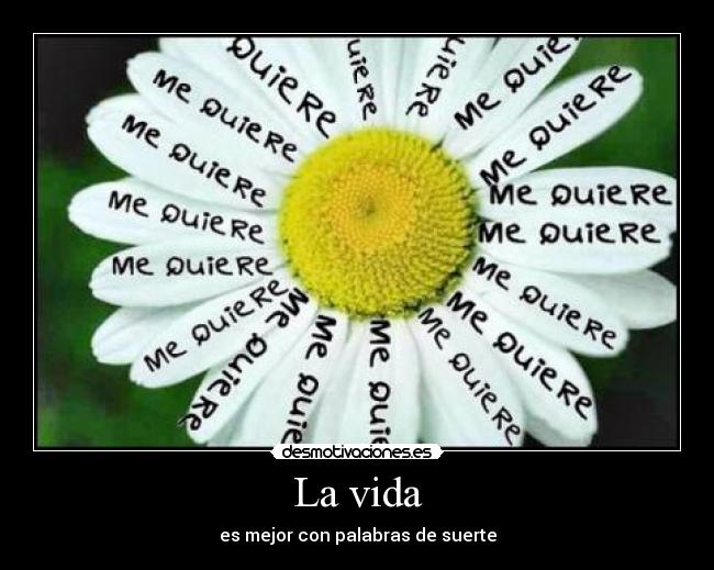 La vida - es mejor con palabras de suerte