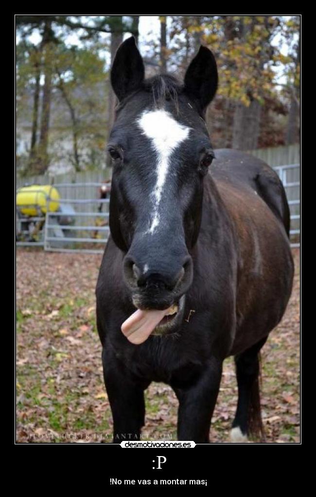 carteles geegee desmotivaciones