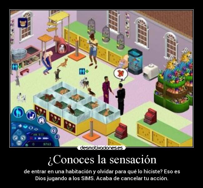 ¿Conoces la sensación - 