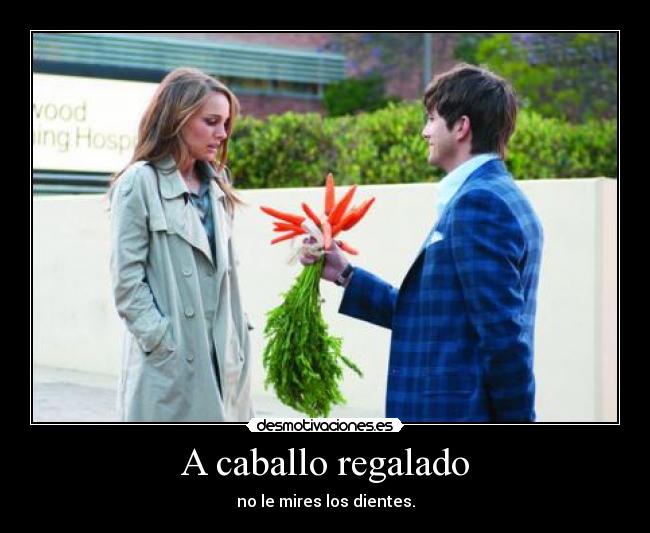 A caballo regalado - no le mires los dientes.