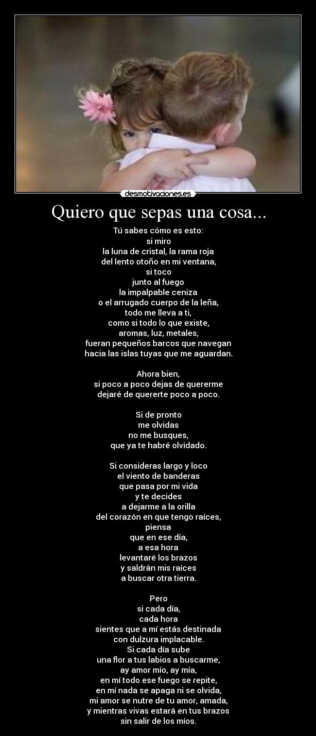 Quiero que sepas una cosa... - Tú sabes cómo es esto:
si miro
la luna de cristal, la rama roja
del lento otoño en mi ventana,
si toco
junto al fuego
la impalpable ceniza
o el arrugado cuerpo de la leña,
todo me lleva a ti,
como si todo lo que existe,
aromas, luz, metales,
fueran pequeños barcos que navegan
hacia las islas tuyas que me aguardan.
Ahora bien,
si poco a poco dejas de quererme
dejaré de quererte poco a poco.
Si de pronto
me olvidas
no me busques,
que ya te habré olvidado.
Si consideras largo y loco
el viento de banderas
que pasa por mi vida
y te decides
a dejarme a la orilla
del corazón en que tengo raíces,
piensa
que en ese día,
a esa hora
levantaré los brazos
y saldrán mis raíces
a buscar otra tierra.
Pero
si cada día,
cada hora
sientes que a mí estás destinada
con dulzura implacable.
Si cada día sube
una flor a tus labios a buscarme,
ay amor mío, ay mía,
en mí todo ese fuego se repite,
en mí nada se apaga ni se olvida,
mi amor se nutre de tu amor, amada,
y mientras vivas estará en tus brazos
sin salir de los míos.