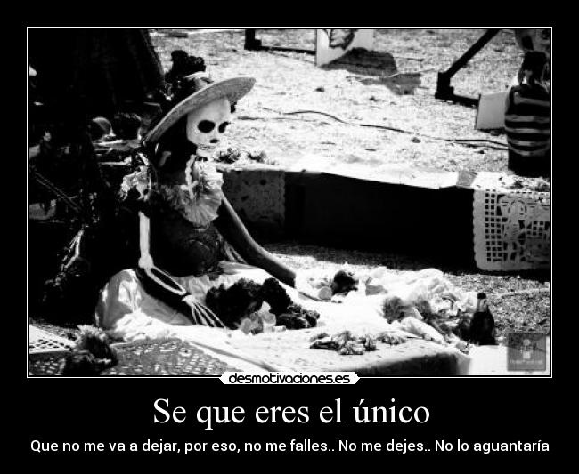 carteles eres unico que dejar haaa tengo miedo desmotivaciones