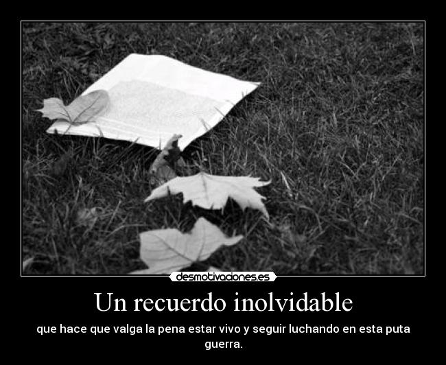 carteles the louk desmotivaciones