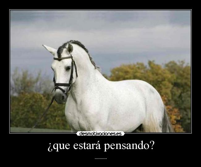 ¿que estará pensando? - ..........