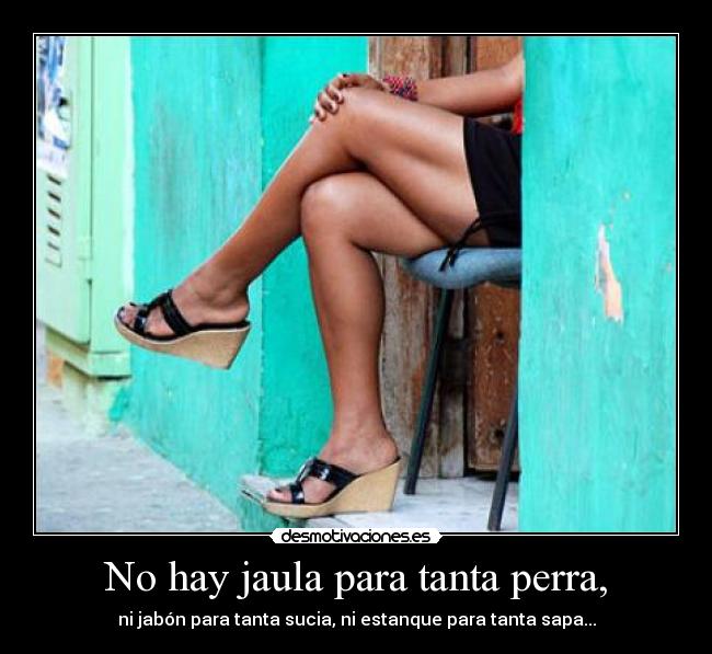 No hay jaula para tanta perra, - ni jabón para tanta sucia, ni estanque para tanta sapa...