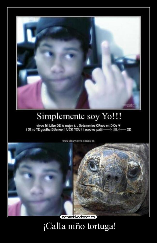 ¡Calla niño tortuga! -