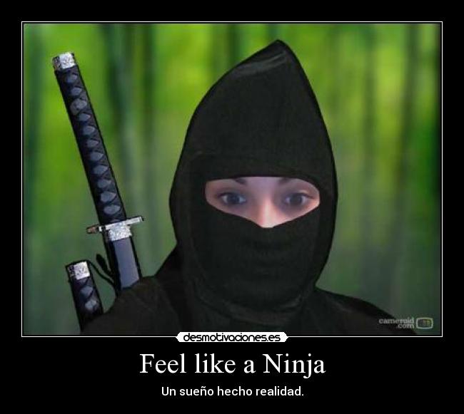 carteles ninja desmotivaciones