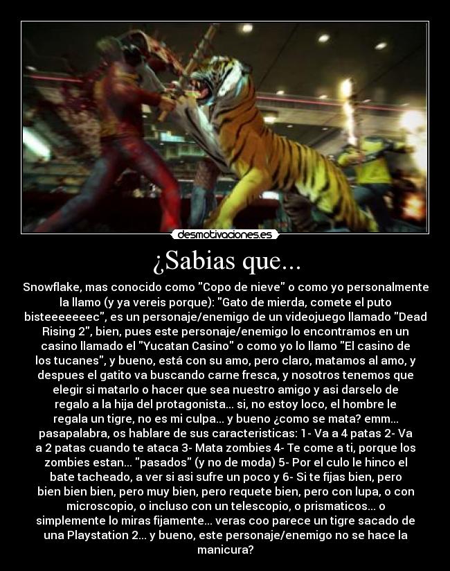 ¿Sabias que... - Snowflake, mas conocido como Copo de nieve o como yo personalmente
la llamo (y ya vereis porque): Gato de mierda, comete el puto
bisteeeeeeec, es un personaje/enemigo de un videojuego llamado Dead
Rising 2, bien, pues este personaje/enemigo lo encontramos en un
casino llamado el Yucatan Casino o como yo lo llamo El casino de
los tucanes, y bueno, está con su amo, pero claro, matamos al amo, y
despues el gatito va buscando carne fresca, y nosotros tenemos que
elegir si matarlo o hacer que sea nuestro amigo y asi darselo de
regalo a la hija del protagonista... si, no estoy loco, el hombre le
regala un tigre, no es mi culpa... y bueno ¿como se mata? emm...
pasapalabra, os hablare de sus caracteristicas: 1- Va a 4 patas 2- Va
a 2 patas cuando te ataca 3- Mata zombies 4- Te come a ti, porque los
zombies estan... pasados (y no de moda) 5- Por el culo le hinco el
bate tacheado, a ver si asi sufre un poco y 6- Si te fijas bien, pero
bien bien bien, pero muy bien, pero requete bien, pero con lupa, o con
microscopio, o incluso con un telescopio, o prismaticos... o
simplemente lo miras fijamente... veras coo parece un tigre sacado de
una Playstation 2... y bueno, este personaje/enemigo no se hace la
manicura?