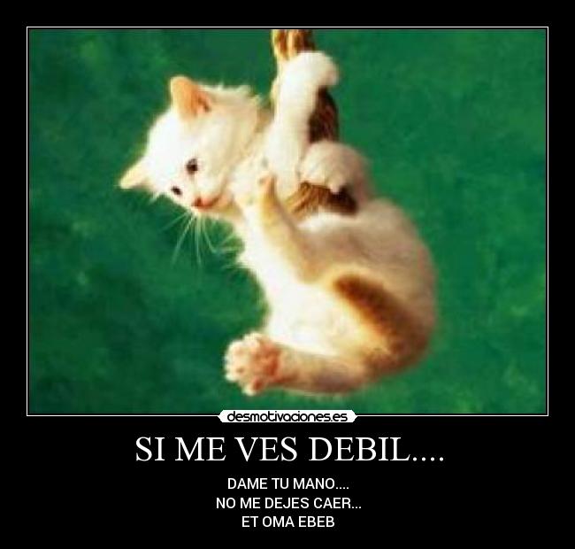 carteles chily querubino desmotivaciones