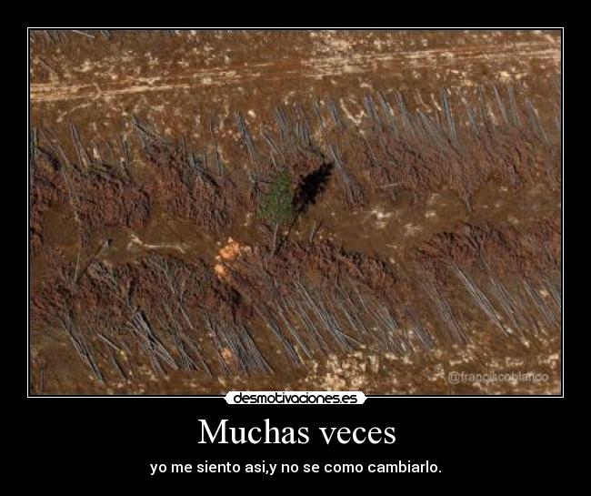Muchas veces - yo me siento asi,y no se como cambiarlo.