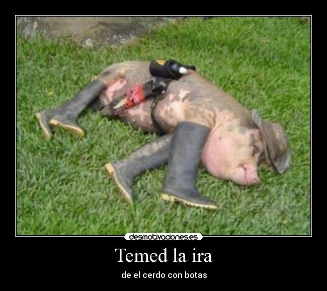 Temed la ira - de el cerdo con botas