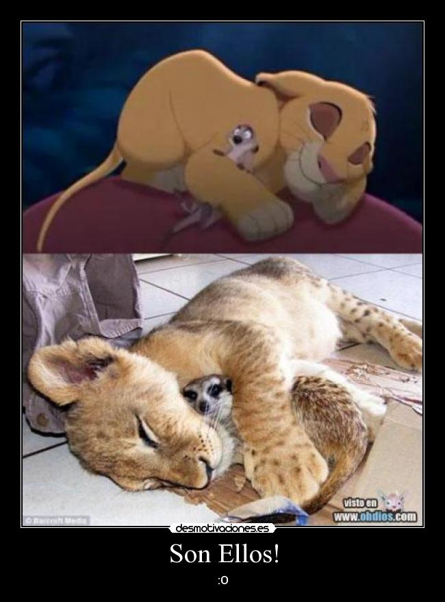 Son Ellos! - :O