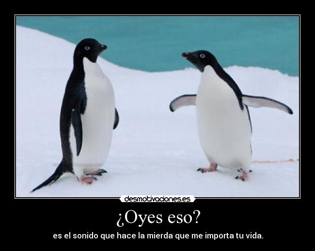 ¿Oyes eso? - 