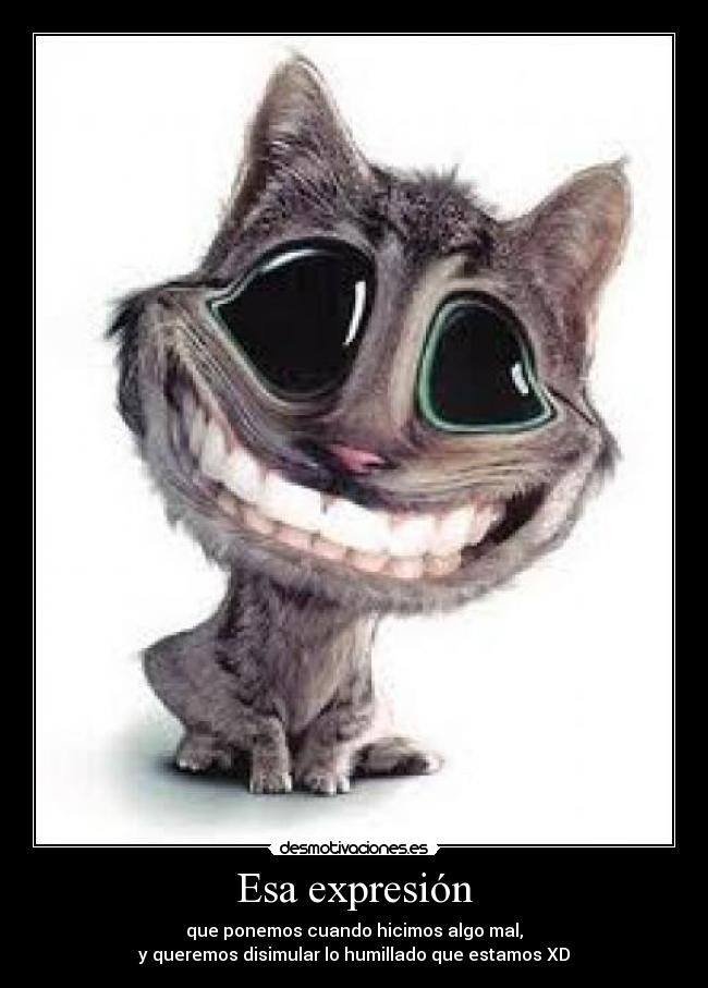 Esa expresión - que ponemos cuando hicimos algo mal,
y queremos disimular lo humillado que estamos XD