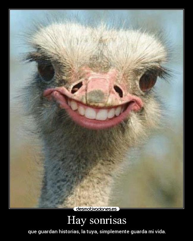 Hay sonrisas - que guardan historias, la tuya, simplemente guarda mi vida.