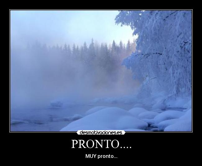 PRONTO.... - 