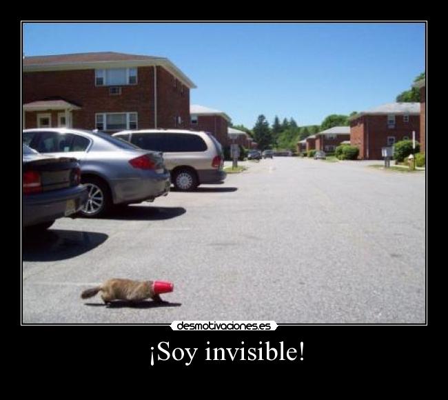 ¡Soy invisible! - 