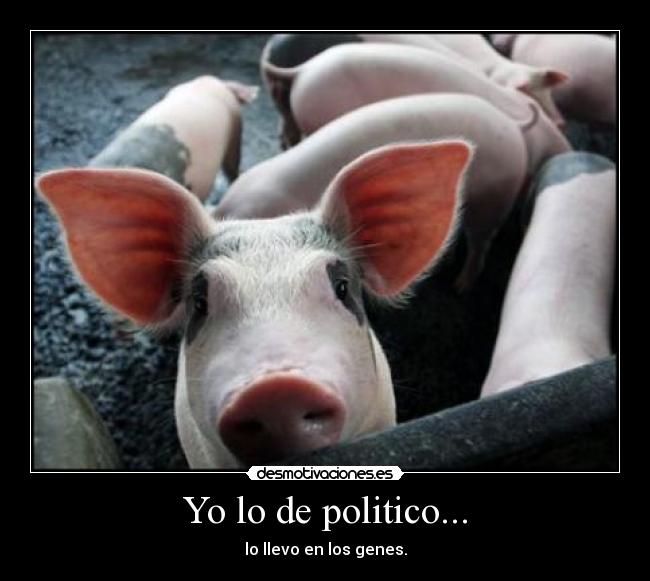 Yo lo de politico... -