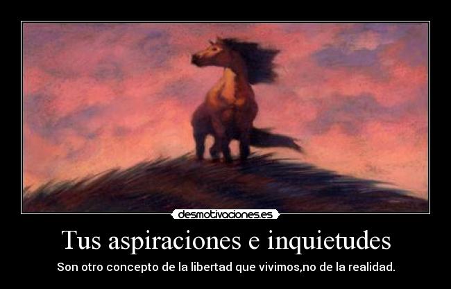 Tus aspiraciones e inquietudes - Son otro concepto de la libertad que vivimos,no de la realidad.