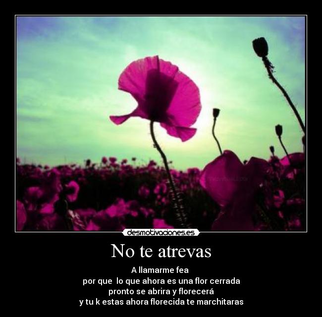 No te atrevas - A llamarme fea
por que lo que ahora es una flor cerrada
pronto se abrira y florecerá
y tu k estas ahora florecida te marchitaras