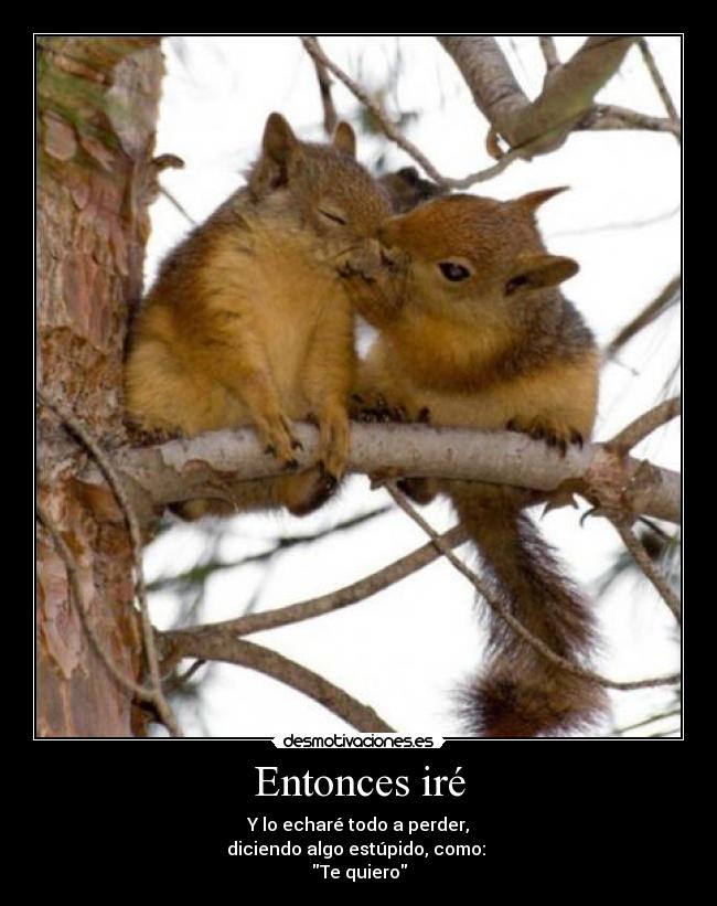 carteles las ardillas molan frank sinatra tambien sera que hoy estoy pastelon desmotivaciones