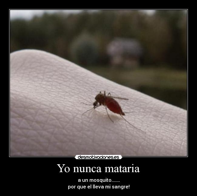Yo nunca mataria - a un mosquito.......
por que el lleva mi sangre!