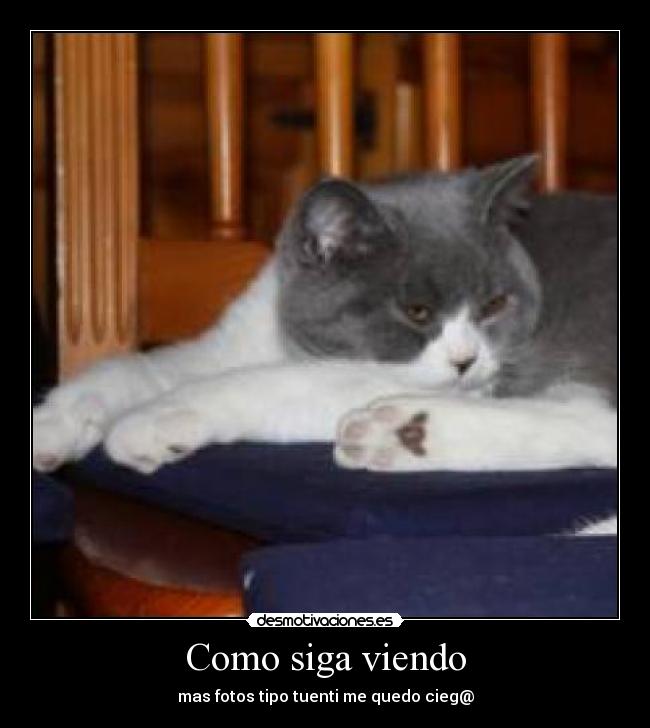 Como siga viendo - mas fotos tipo tuenti me quedo cieg@