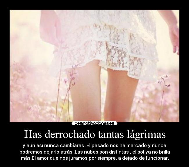 Has derrochado tantas lágrimas - 