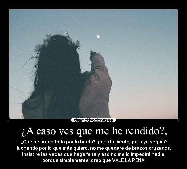 ¿A caso ves que me he rendido?, - ¿Que he tirado todo por la borda?, pues lo siento, pero yo seguiré
luchando por lo que más quiero, no me quedaré de brazos cruzados.
Insistiré las veces que haga falta y eso no me lo impedirá nadie,
porque simplemente; creo que VALE LA PENA.