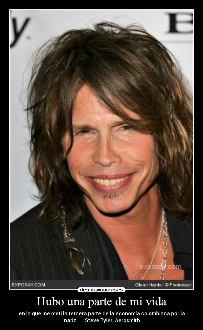 carteles vida steve tyler aerosmith desmotivaciones