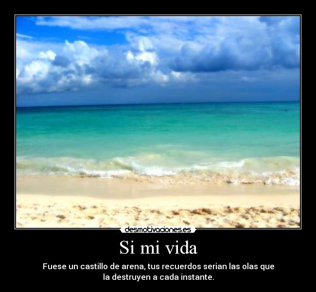 Si mi vida -