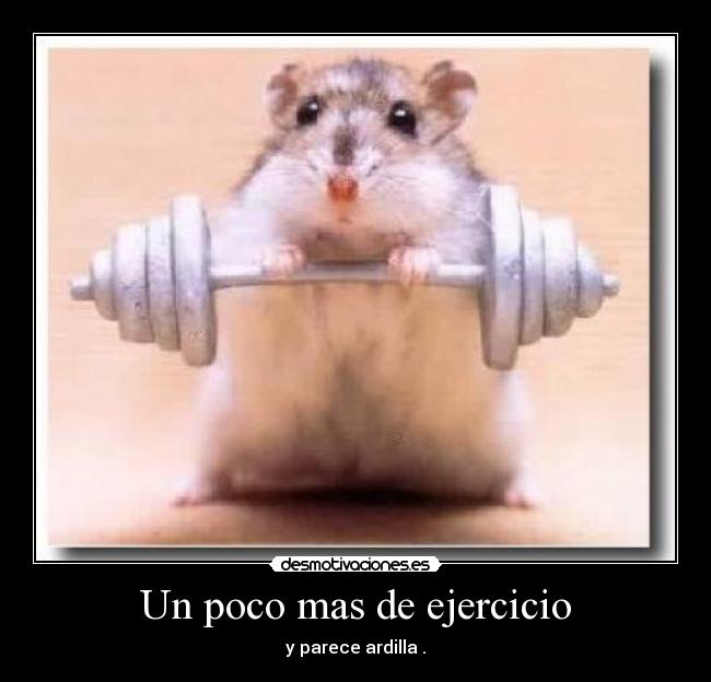carteles animal desmotivaciones